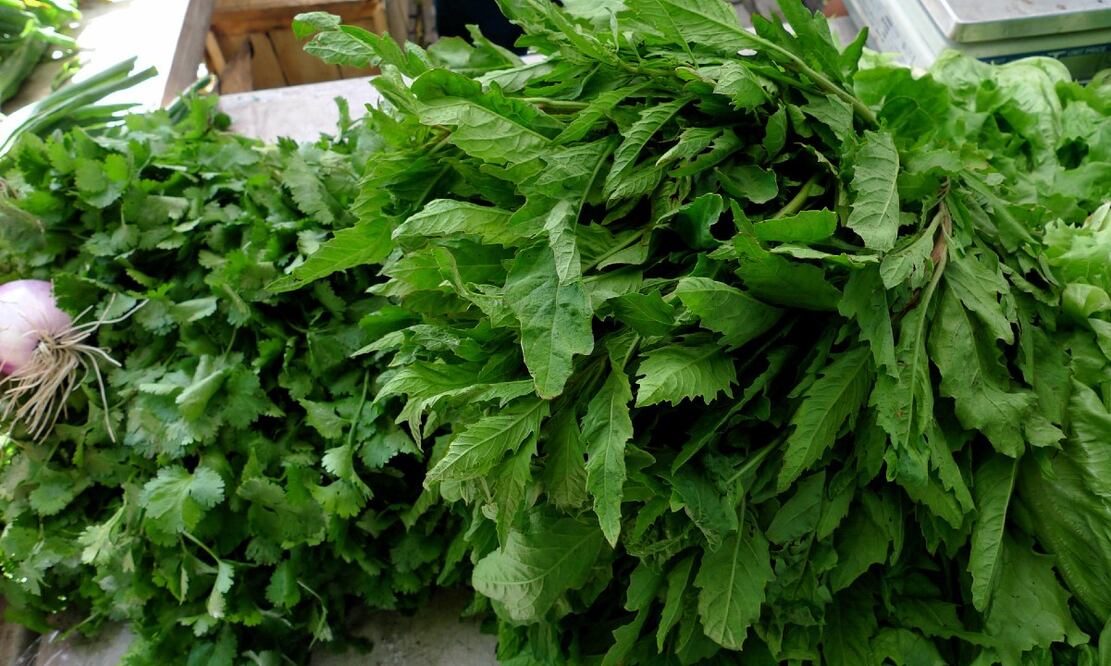 El epazote es una planta que se usa de forma recurrente en la cocina mexicana. Foto: watashiwani / Flickr