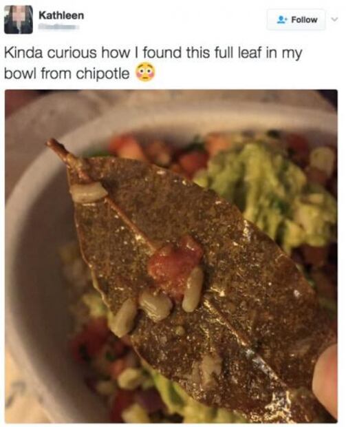 Estadounidenses se indignan al hallar "hojas de árbol" en su comida, sin saber que era laurel