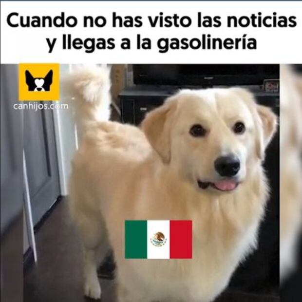 Hace falta gasolina, pero no memes