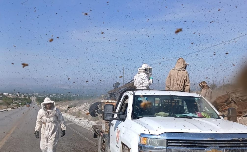Como medida preventiva, se recomendó a los conductores mantener las ventanas cerradas y evitar descender de sus vehículos al pasar por el tramo afectado.
Foto: Especial.