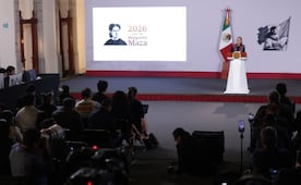 Sheinbaum pide coordinación con EU para proteger al lobo mexicano; "es una especie que tenemos que conservar", señala