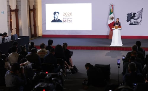Sheinbaum pide coordinación con EU para proteger al lobo mexicano; "es una especie que tenemos que conservar", señala