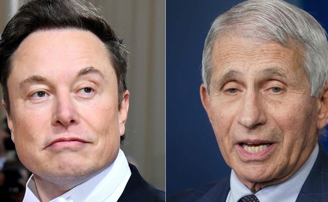 Elon Musk y el asesor médico jefe del presidente, el Dr. Anthony Fauci. Foto: AFP