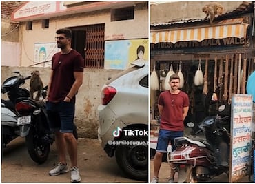 Banda de monos roba a turista colombiano en la India: "son expertos", dice