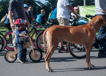 Instalarán centros de hidratación para mascotas en eventos ciclistas