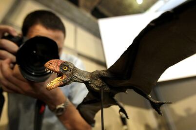 Descubren restos del reptil volador más grande de Sudamérica