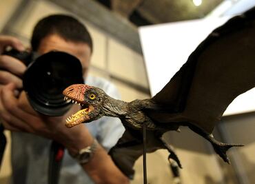 Descubren restos del reptil volador más grande de Sudamérica