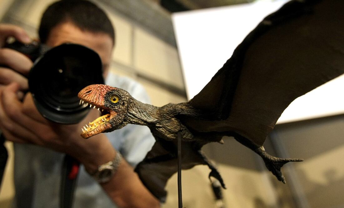 Maqueta de un pterosaurio. Foto: EFE/Antonio Lacerda