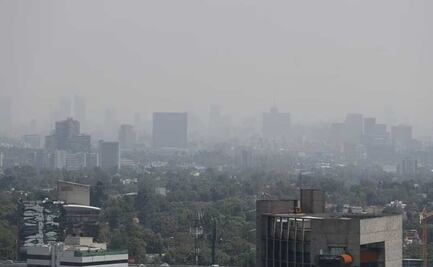 Día Mundial del Medio Ambiente; Crisis de agua, deforestación y climas extremos azotan a México