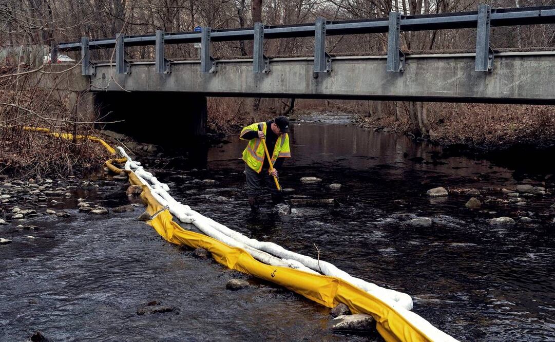 Empleado de la Agencia de Protección Ambiental busca peces tras la tragedia. Foto: AFP