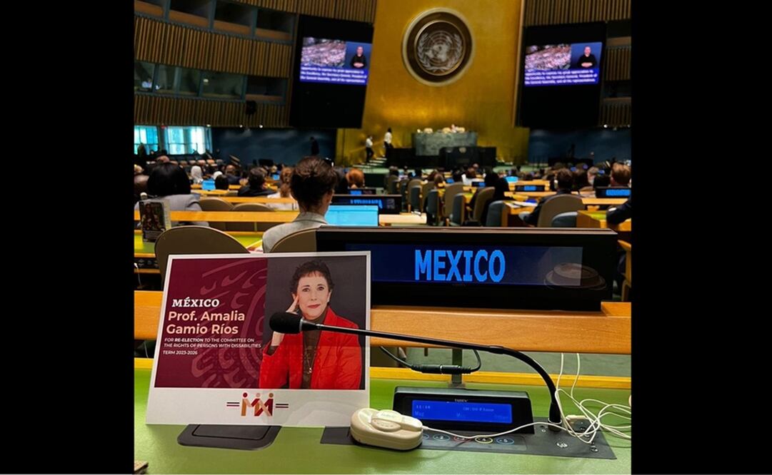 Foto: tomada de Twitter. @AmaliaGamio