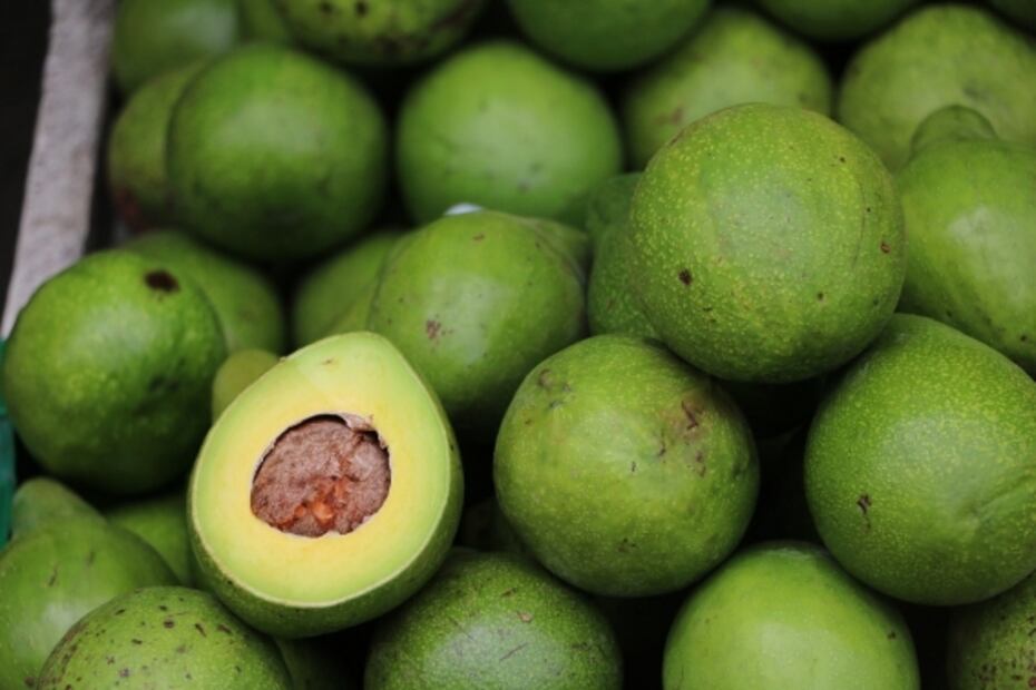 Aprende a guardar el aguacate para que te dure más tiempo
