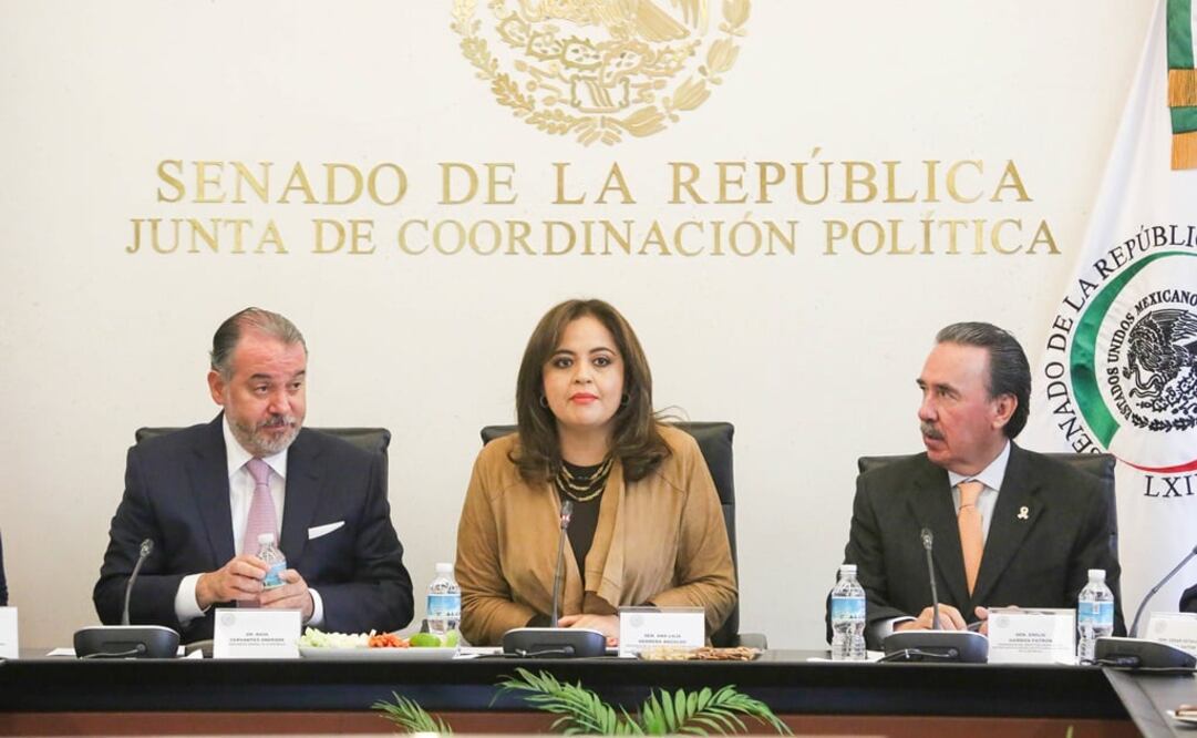 Foto: Cortesía Senado