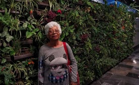 Estación Zócalo del Metro estrena muros verdes; pasajeros aprovechan para tomarse selfies