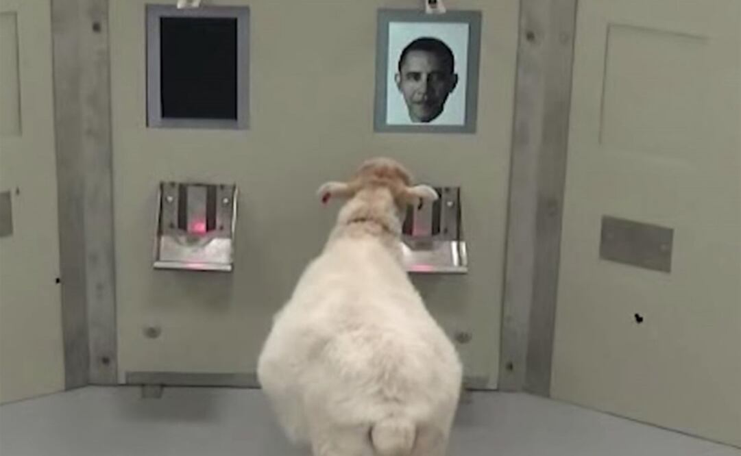 (FOTO: Europa press)