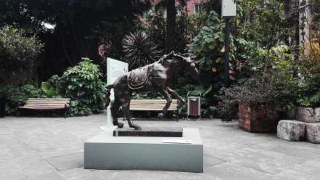 ¿Qué pasó con el zoológico de Moctezuma?