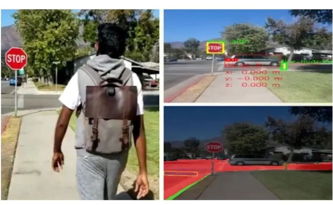 Fue desarrollada en la Universidad de Georgia. 