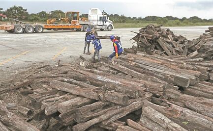 Acciona y Grupo México ganan tramo de Tren Maya