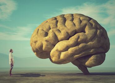 Qué reveló el experimento sobre la inteligencia más grande del mundo