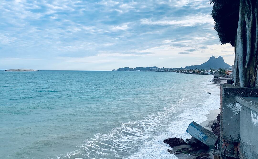 Foto: Amalia Escobar / EL UNIVERSAL