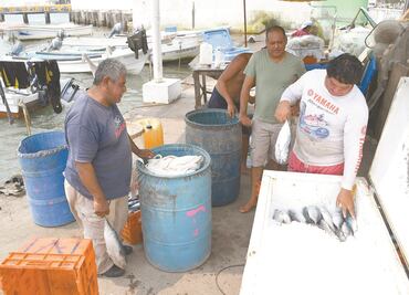 Así enfrentan los pescadores de Veracruz la pandemia