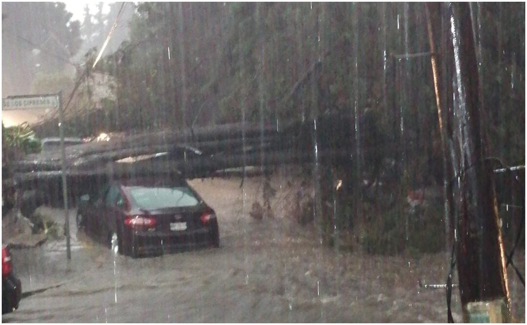 Lluvias provocan cuatro árboles caídos, dos bardas derrumbadas, cinco vehículos dañados y la caída de un rayo en una casa. Foto: Especial