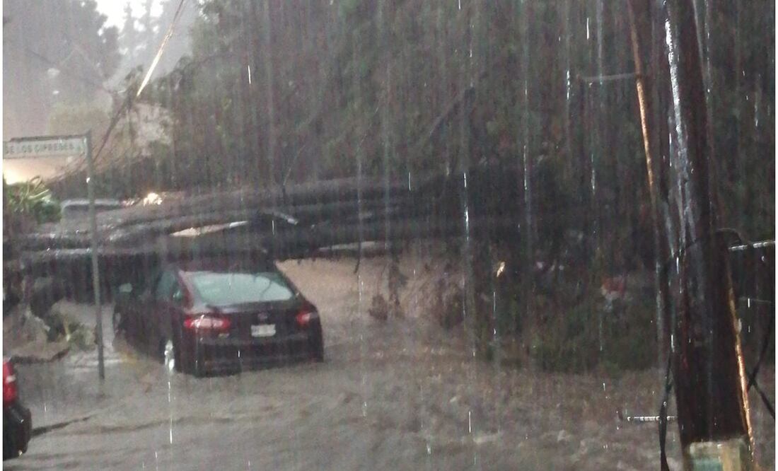 Lluvias provocan cuatro árboles caídos, dos bardas derrumbadas, cinco vehículos dañados y la caída de un rayo en una casa. Foto: Especial