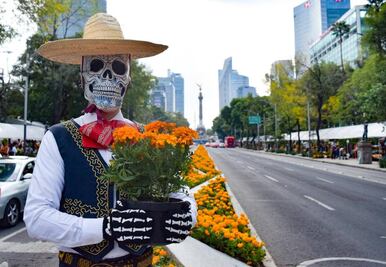 Hasta cuándo estará el Festival de Flores de Cempasúchil en CDMX