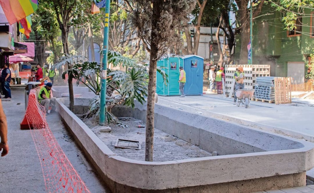 Como parte de las obras en la Zona Rosa, fueron construidas unas ocho jardineras por calle, que protegen a los árboles. Foto: Santiago Reyes / EL UNIVERSAL