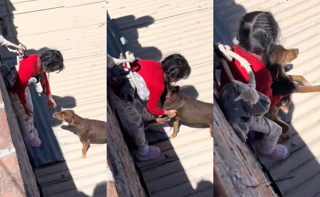 Mamá e hija protagonizan emotivo rescate de un perrito atrapado, ganándose el reconocimiento y aplausos en redes sociales. Foto: Captura de video