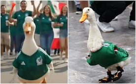 Mundial 2026: lanzan corrido inspirado en el Pato Merlín; esto dice la letra