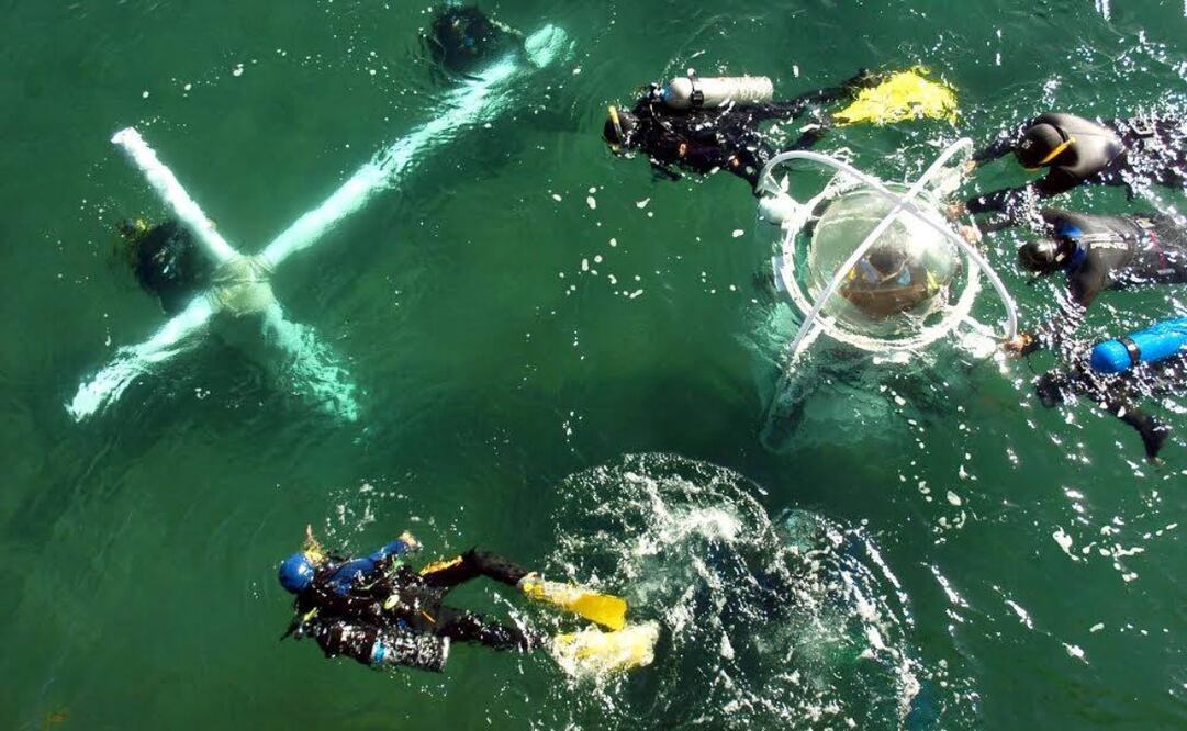 Puerto Madryn, sede del viacrucis submarino, se encuentra en la Patagonia argentina. Foto: Turismo y Áreas Protegidas de Chubut