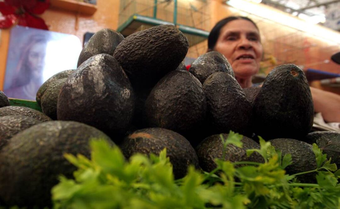 Archivo/ EL UNIVERSAL