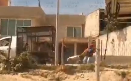 Investigan a trabajadores del Ayuntamiento de Puebla por maltratar perros