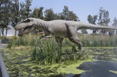 5 actividades para este fin de semana en CDMX 