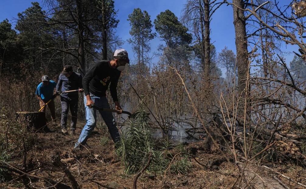 Foto: Gabriel Pano. EL UNIVERSAL