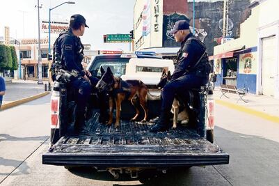 Marchan para exigir trato digno para perros-policía