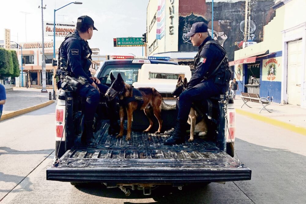 Hersoft y Coyote , dos perros de seguridad de la Policía Municipal de Silao que sufrían deshidratación y desnutrición, encabezaron la Marcha K-9, que partió del DIF a la Presidencia municipal (ARCHIVO EL UNIVERSAL)