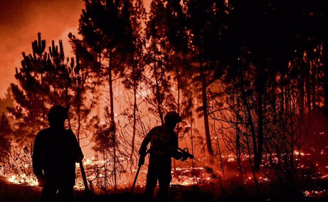 Firefighters are at work to extinguish a wildfire - Photo: Patricia de Melo Moreira/AFP