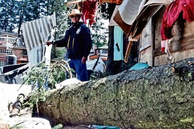 Dejaron su hogar justo a tiempo