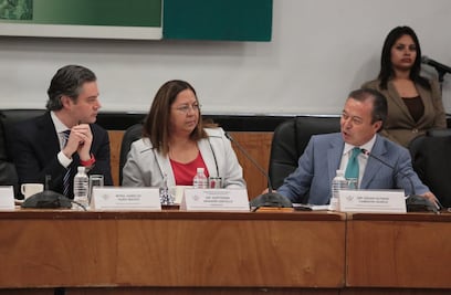 Matrimonio igualitario no es prioridad para el PRI en legislatura