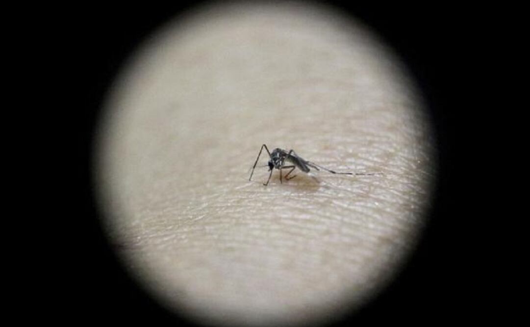 They are believed to be the first confirmed cases of Zika in pregnant women in Mexico. (Photo: Reuters) 