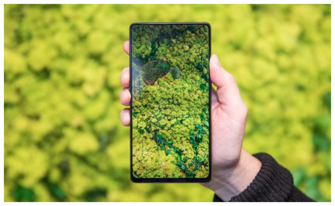 Destaca de este móvil su pantalla OLED, la cual cubre el 98% de la parte frontal del celular, razón por la cual, este dispositivo no tiene notch