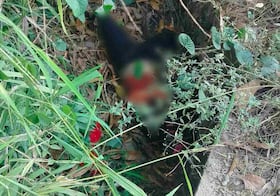 Dos días después del 8M, hallan cuerpo sin vida de mujer en la costa de Chiapas; cuerpo no presenta lesiones visibles