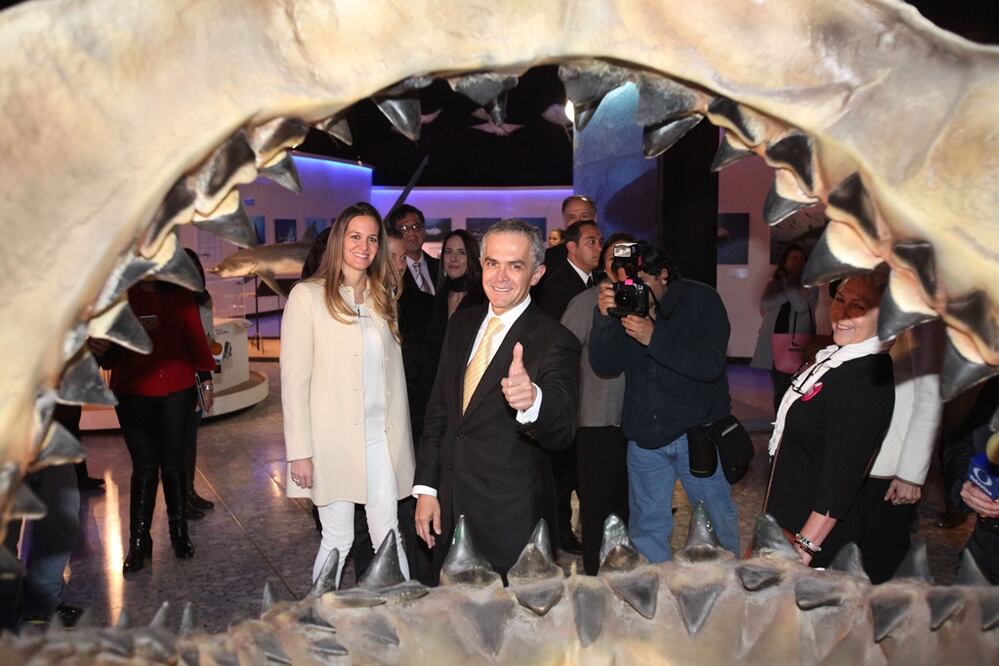 Foto: Valente Rosas/EL UNIVERSAL