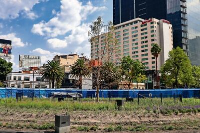 “Hay que dejar en paz al ahuehuete”: Batres