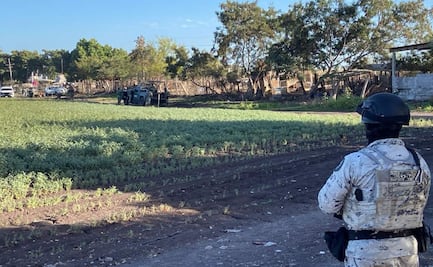 Sujetos armados se enfrentan a elementos del Ejército y GN en Costa Rica, Sinaloa; hay 3 detenidos, uno de ellos herido