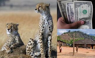 Efemérides del 4 de diciembre: ¿qué se celebra este jueves?