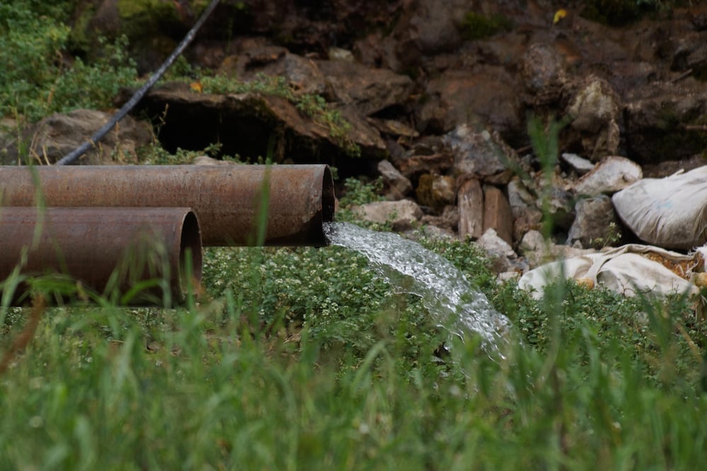 Fotos: Edwin Hernández / EL UNIVERSAL