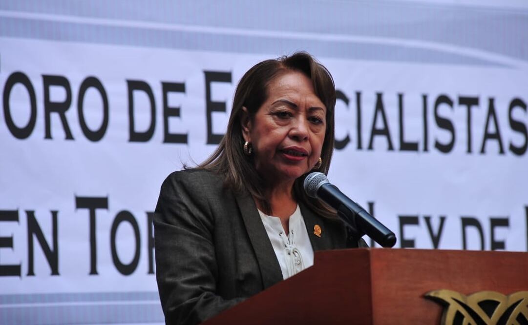 La diputada Esperanza Villalobos, presidenta de la Comisión de Reconstrucción en el Congreso de la Ciudad de México. Fotografía: Especial